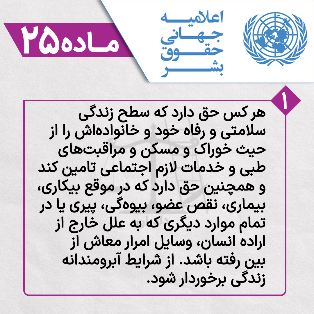 Declaration of Human Rights -25-1