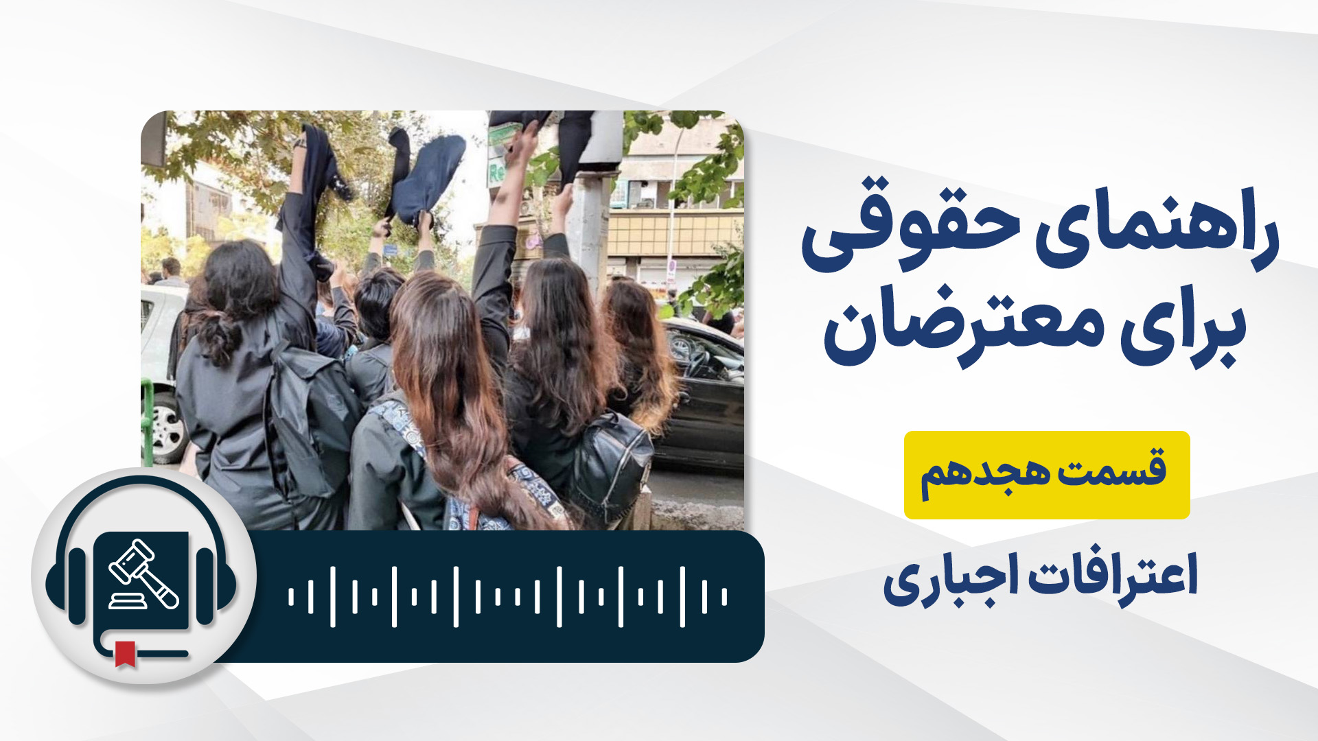 Legal-handbook-protesters-18