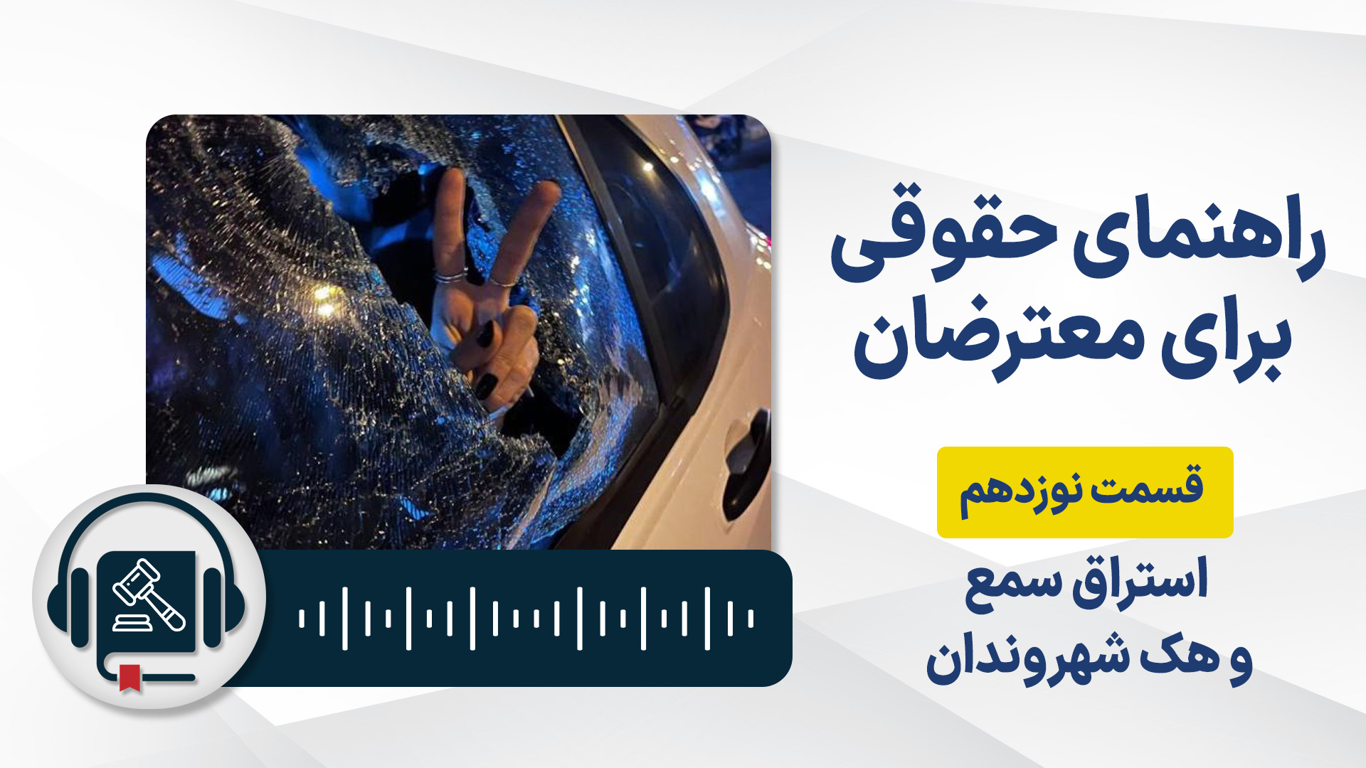 Legal-handbook-protesters-19