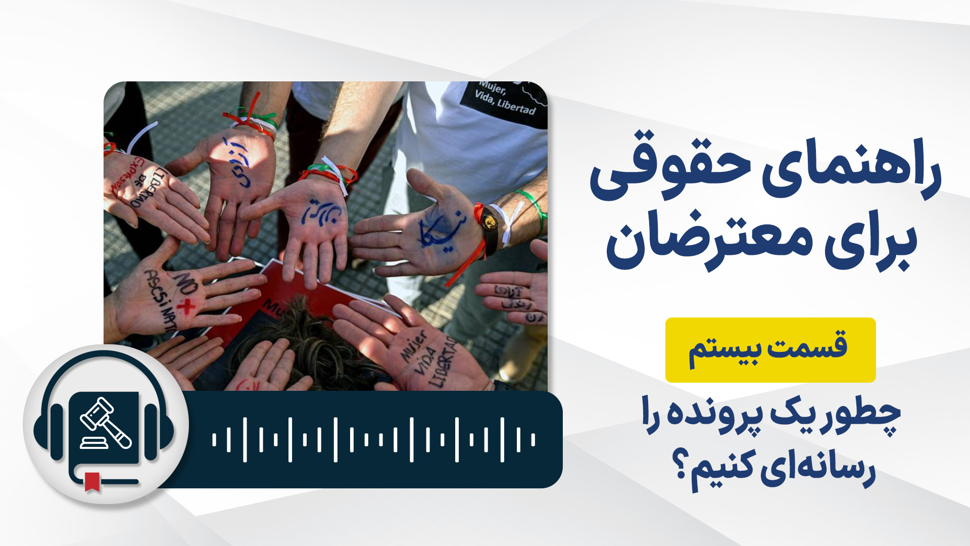 Legal-handbook-protesters-20