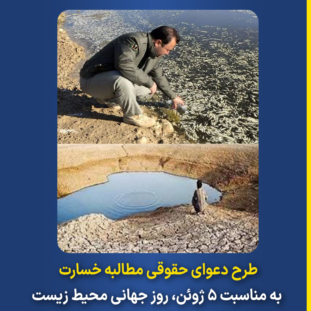 World-Environment-Day-6